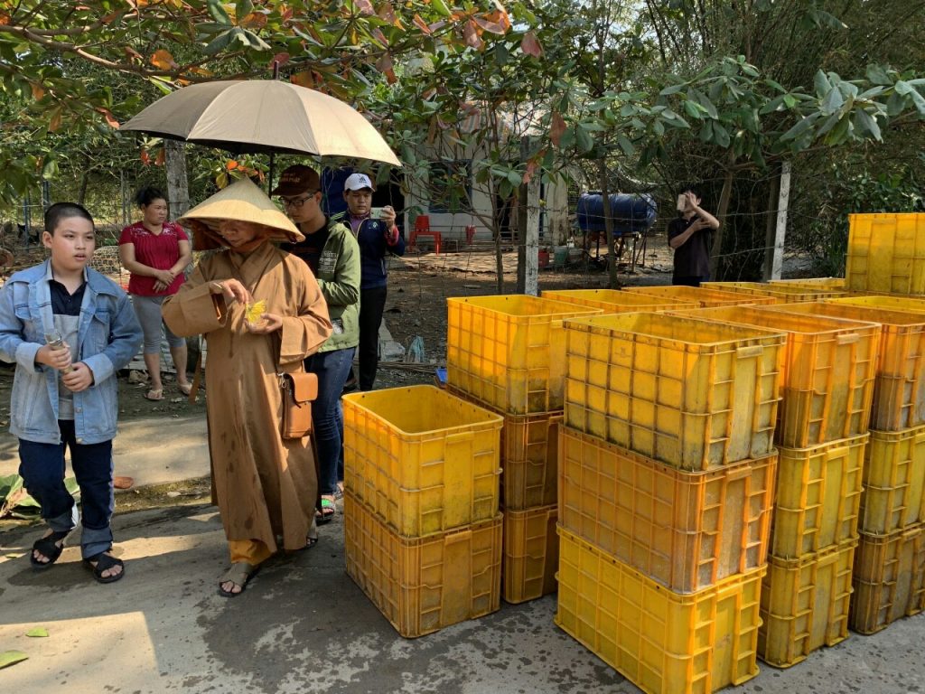 TPHCM: Chùa Thiên Trì phóng sanh đầu năm Kỷ Hợi