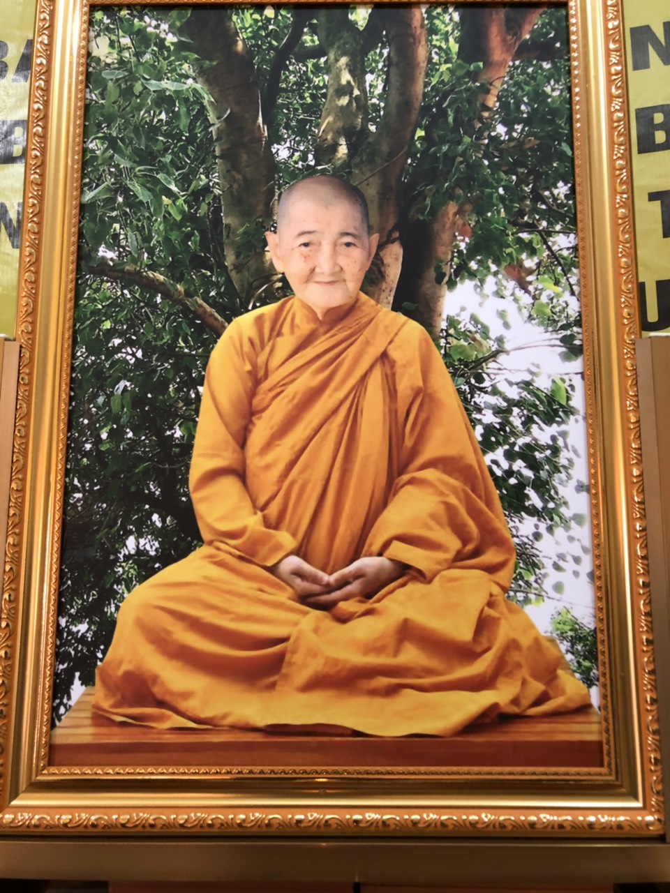 Bạc Liêu: Cáo phó Ni trưởng Lan Liên viên tịch