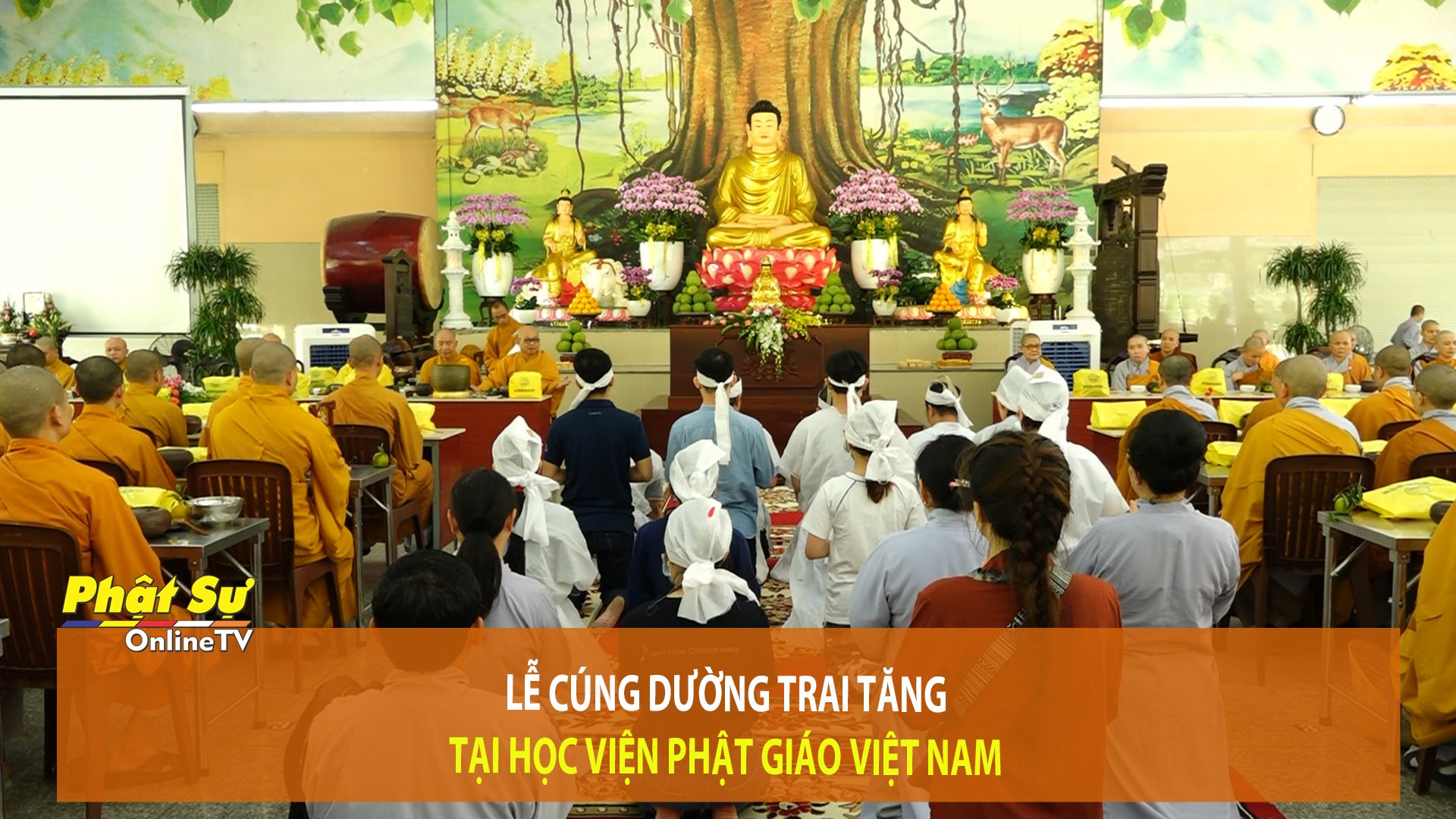 [Video] TP.HCM: Lễ cúng dường Trai Tăng tại Học viện Phật giáo Việt Nam