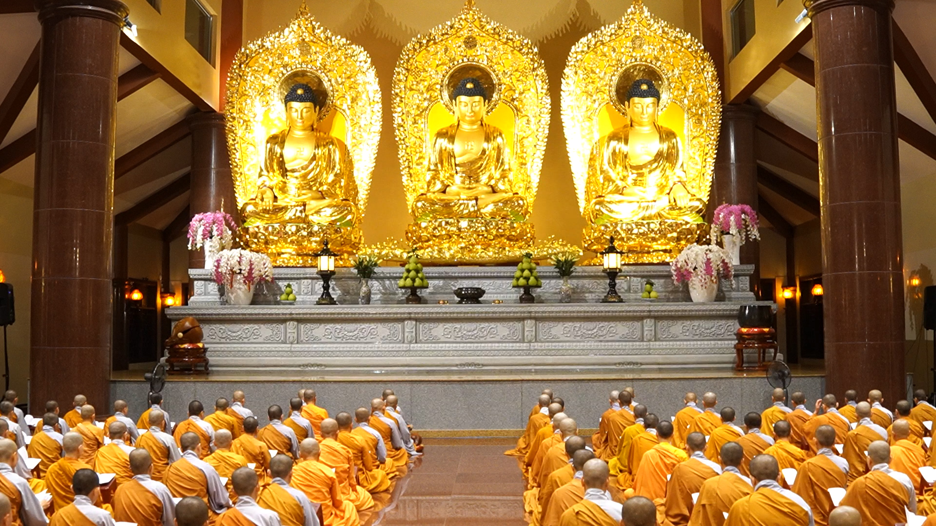 TP.HCM: Chư Ni và Ni sinh tụng Tứ phần Tỳ kheo Ni vào tối thứ 7 hàng tuần