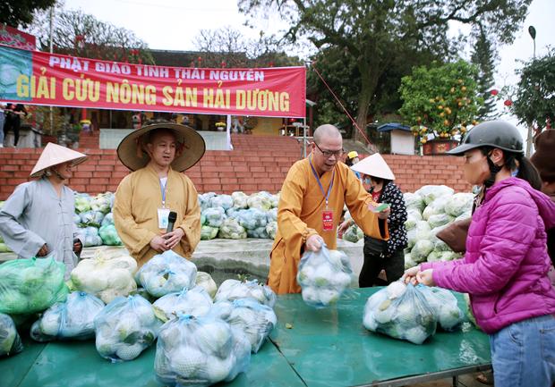 Phật giáo tỉnh Thái Nguyên chung tay giải cứu nông sản tỉnh Hải Dương