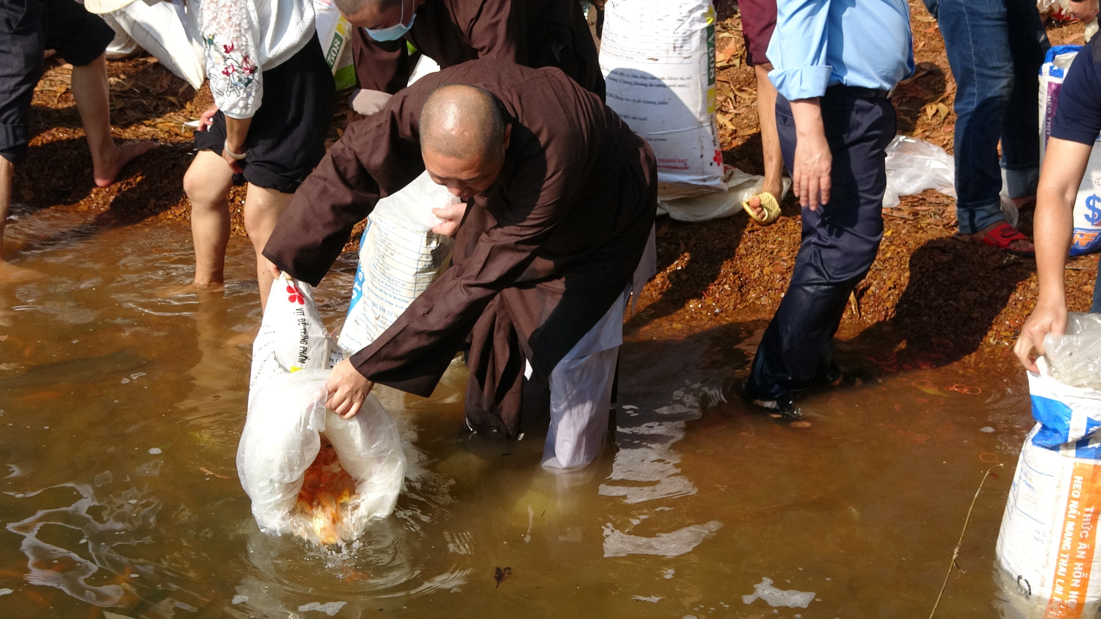Đồng Nai: Viện Chuyên Tu phối hợp với UBMTTQVN tỉnh thả cá hồ Trị An trong chương trình bảo vệ môi trường giữ gìn nguồn nước sạch hồ Trị An hàng năm