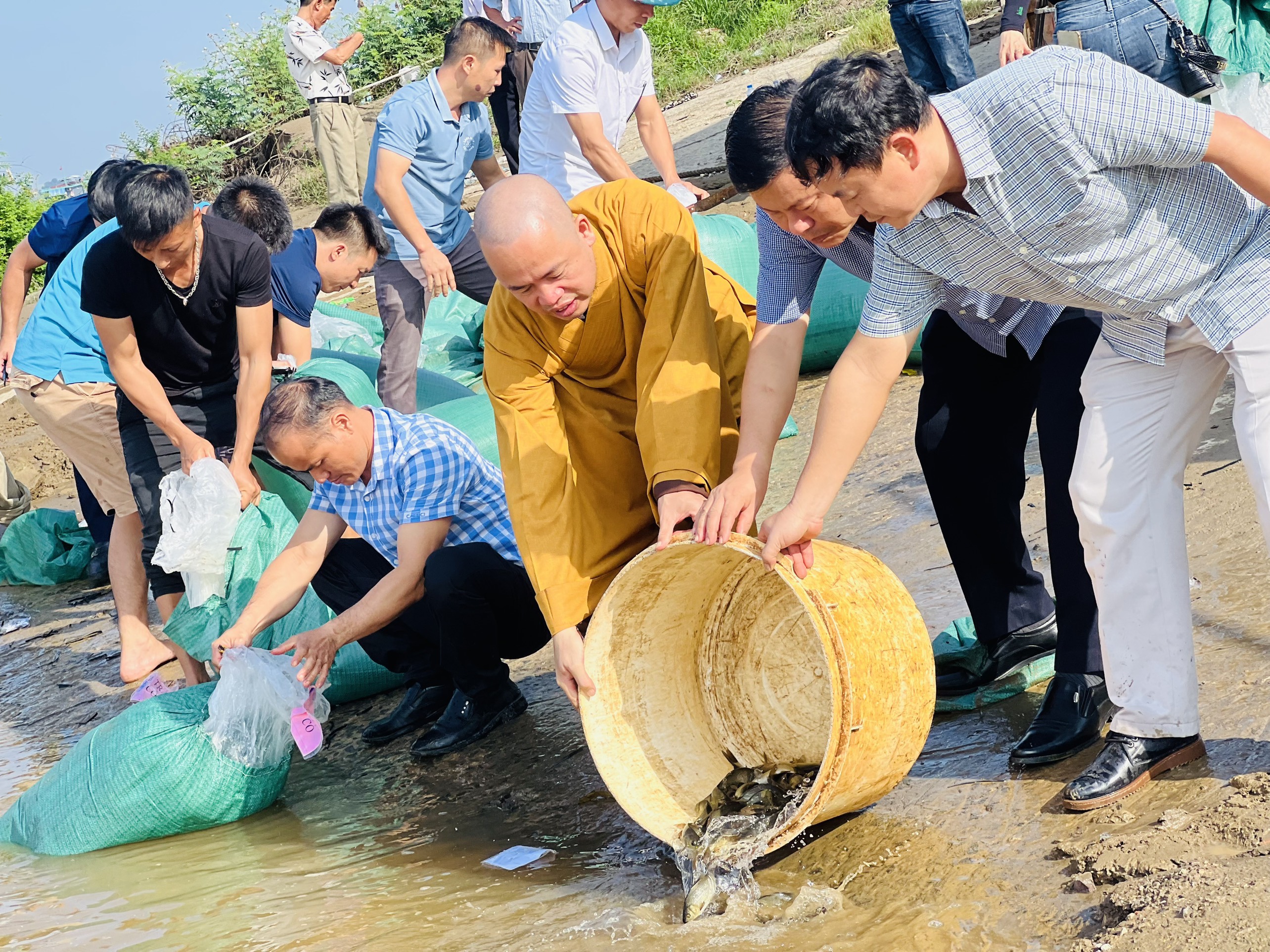 Vĩnh Phúc: Ban Trị sự Phật giáo tỉnh phối hợp Sở Nông nghiệp phóng sinh thả cá tái tạo nguồn lợi thuỷ sản