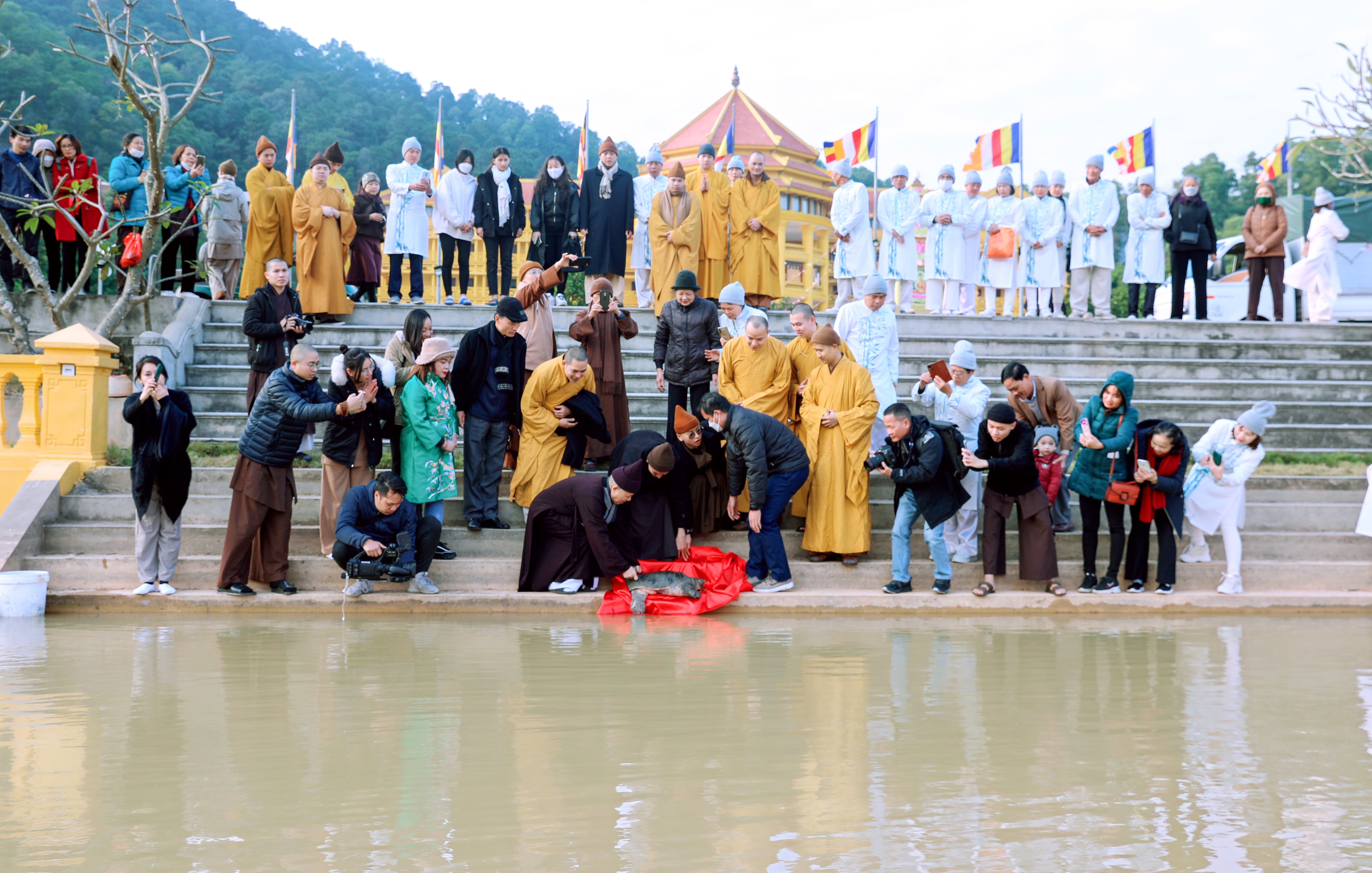 Hà Nội: Học viện PGVN tổ chức phóng sinh cụ Rùa nhân ngày Đức Phật thành đạo