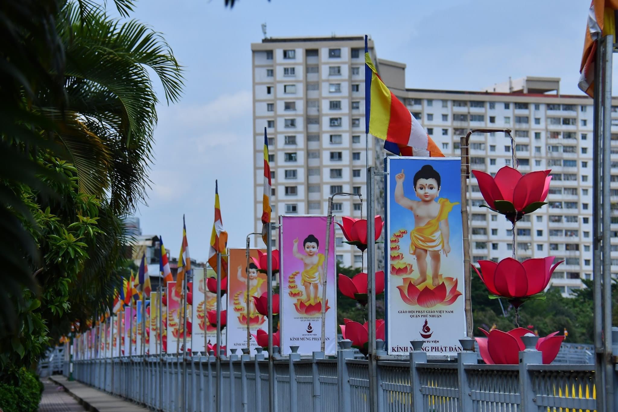 Sắc màu Phật đản của Phật giáo quận Phú Nhuận