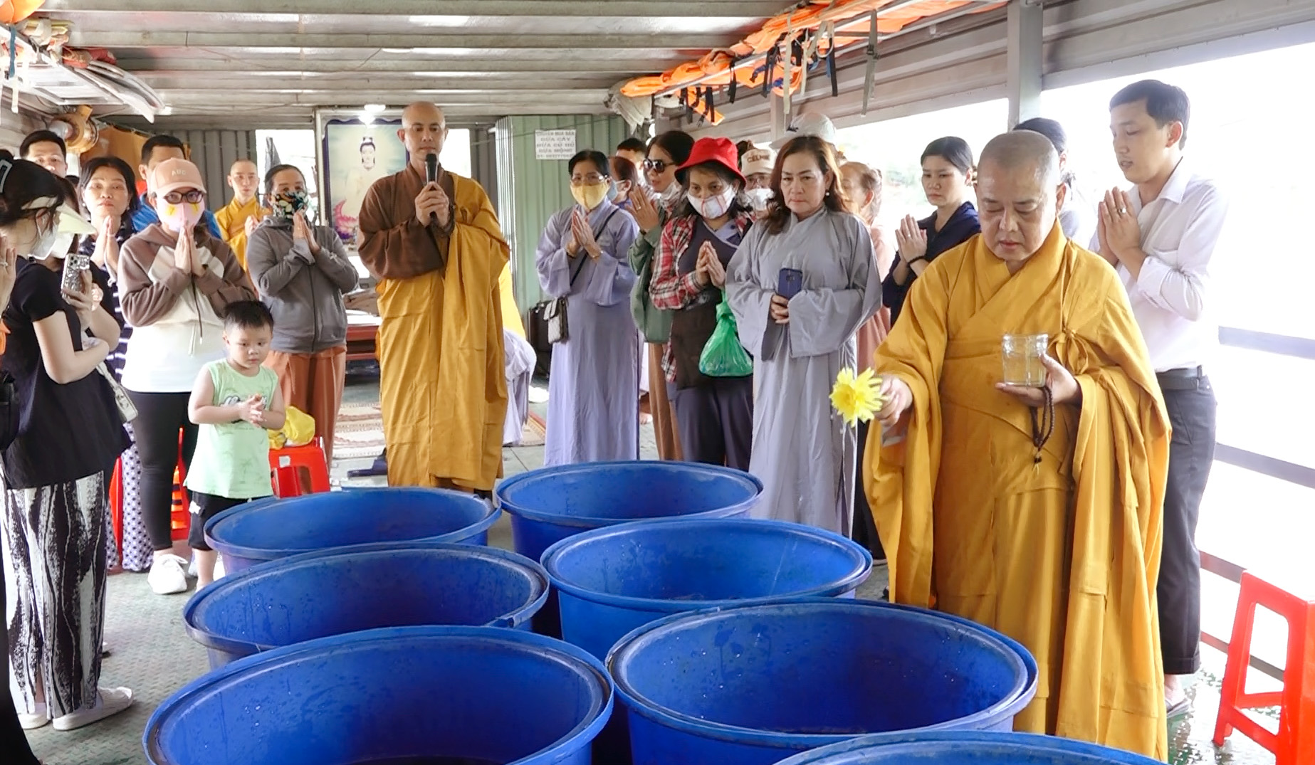 TP.HCM: Chư Tăng chùa Giác Tánh tổ chức lễ phóng sanh trên sông Vàm Cỏ